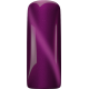  Cat Eye Ametrine